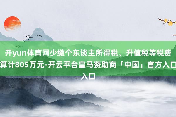 开yun体育网少缴个东谈主所得税、升值税等税费算计805万元-开云平台皇马赞助商「中国」官方入口